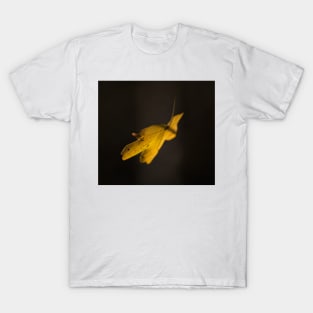 Autumn Leaf T-Shirt